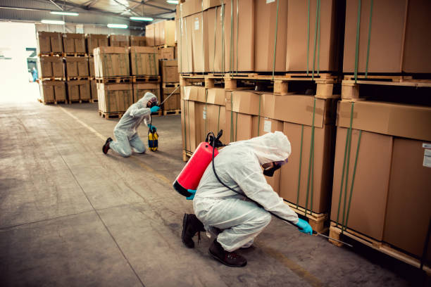 Best Pest Control Near Me in Palm City, FL
