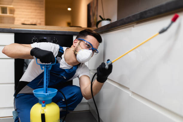 Best Pest Control Near Me  in Palm City, FL