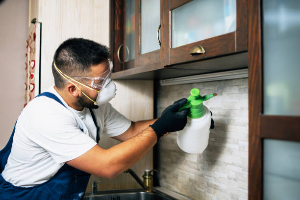 Best Pest Prevention Services  in Palm City, FL