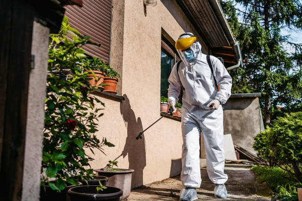 Best Flea Control Services  in Palm City, FL