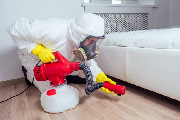 Best Best Pest Control Companies  in Palm City, FL