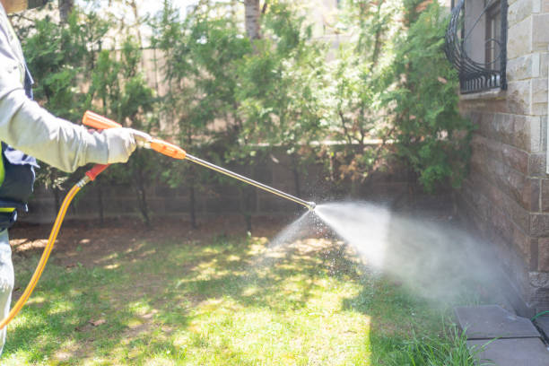 Best Rat Extermination Near Me  in Palm City, FL