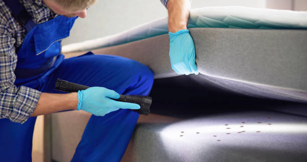 Best Wasp Removal Services  in Palm City, FL