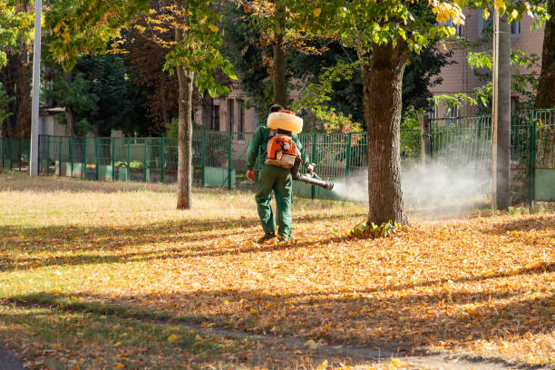 Best Local Pest Control Services  in Palm City, FL