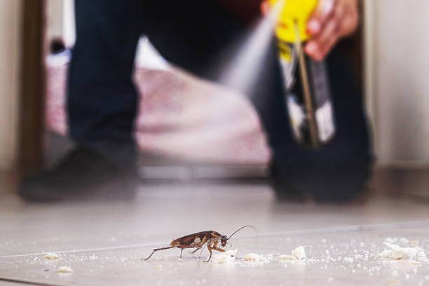 Reliable Palm City, FL Pest Control Solutions