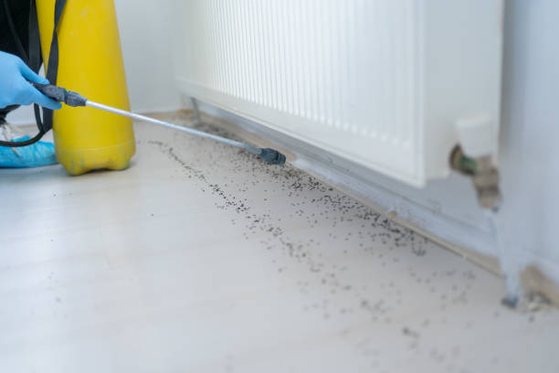 Best Spider Control Near Me  in Palm City, FL