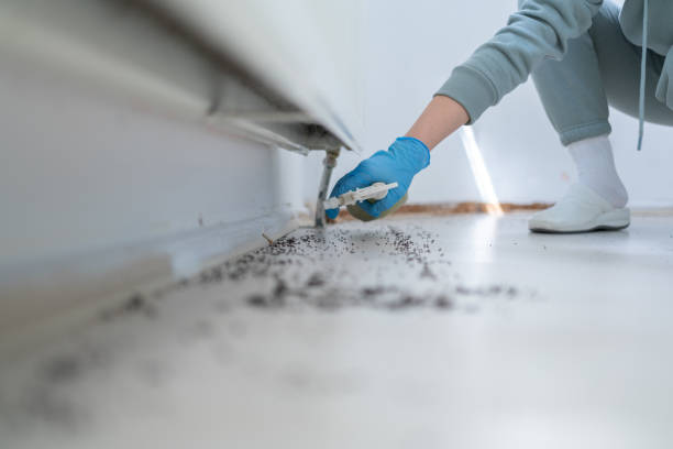 Best Residential Pest Control  in Palm City, FL